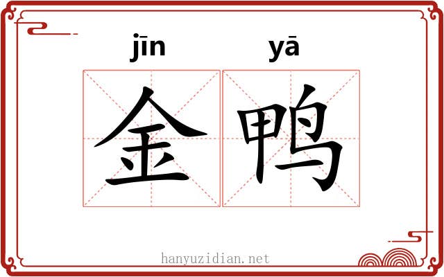 金鸭 金鸭
