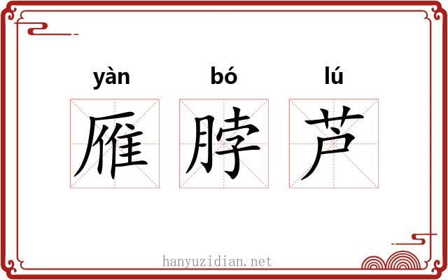 雁脖芦