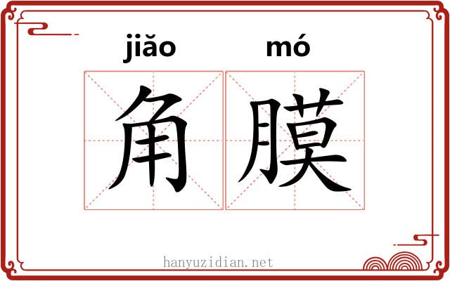 角膜 角膜