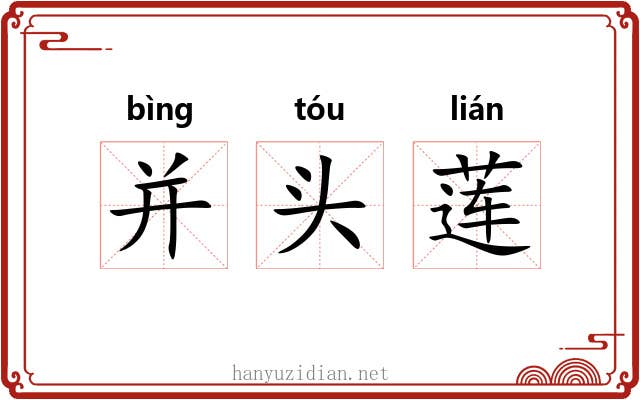 并头莲 并头莲