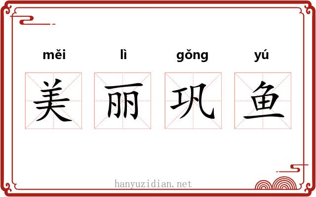 美丽巩鱼 美丽巩鱼