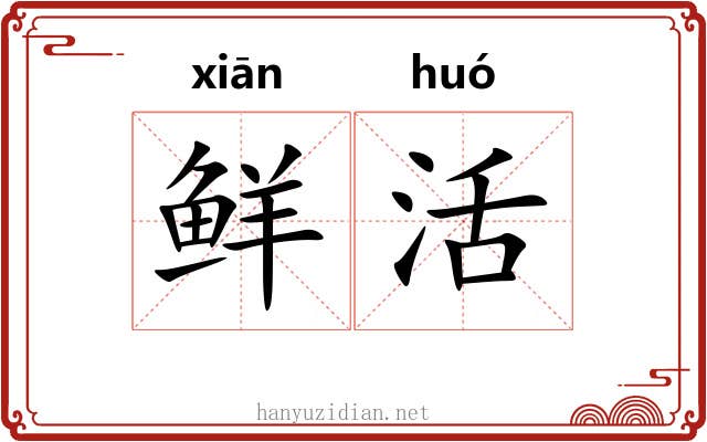 鲜活 鲜活