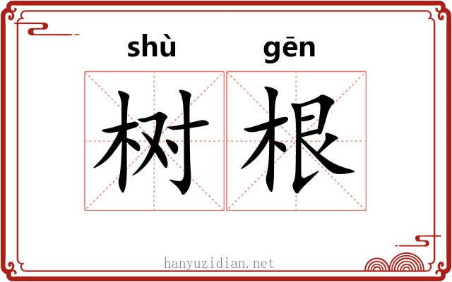 树根 树根