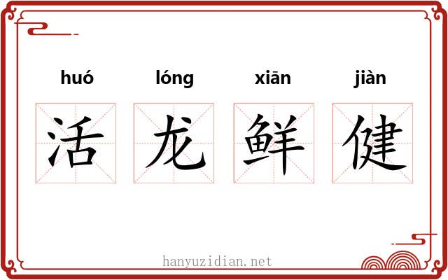 活龙鲜健