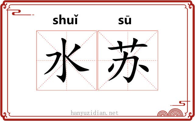 水苏 水苏