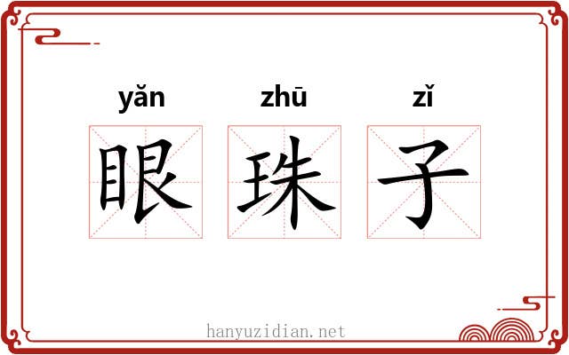 眼珠子 眼珠子