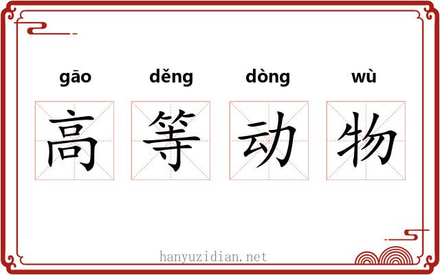 高等动物