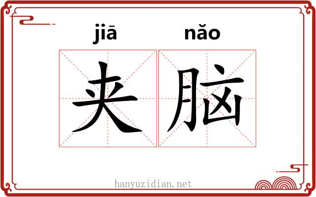 夹脑 夹脑