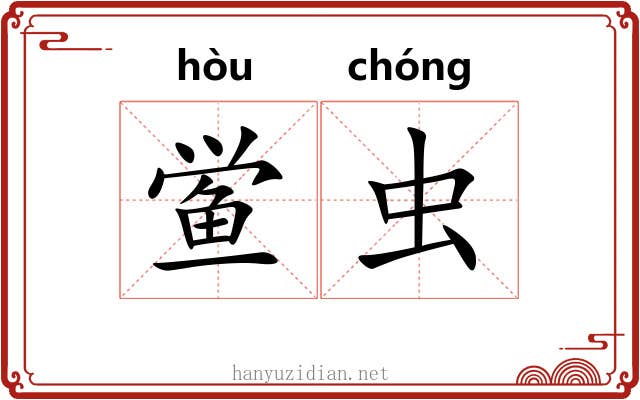 鲎虫