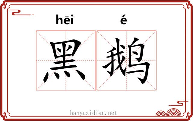 黑鹅
