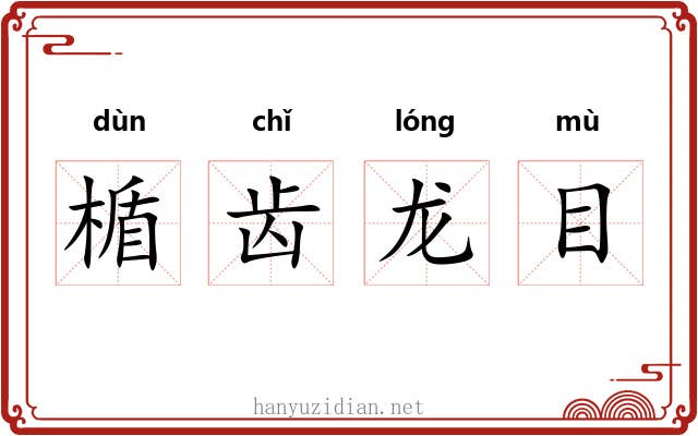 楯齿龙目