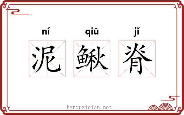 泥鳅脊 泥鳅脊