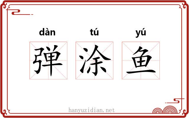 弹涂鱼 弹涂鱼