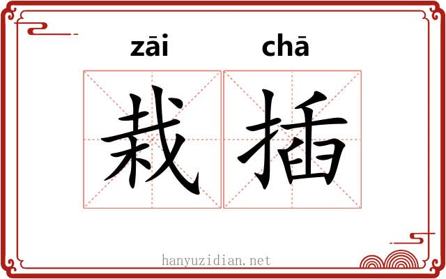 栽插