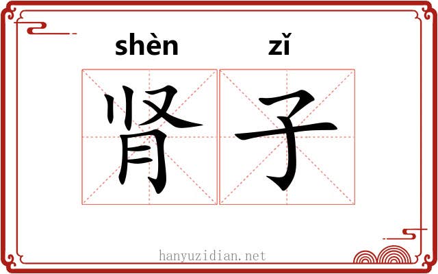 肾子 肾子