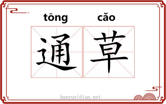 通草 通草