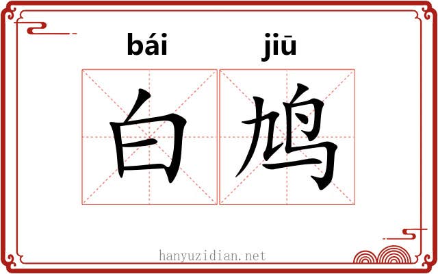 白鸠 白鸠