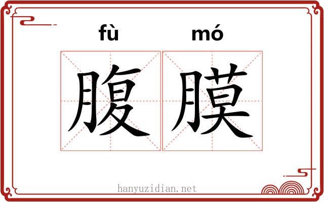 腹膜
