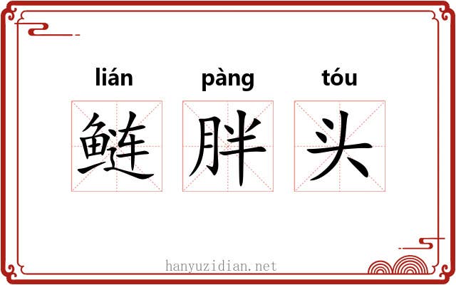 鲢胖头 鲢胖头