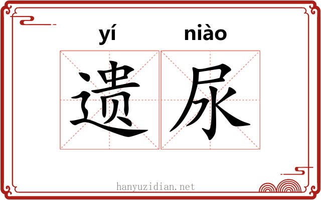 遗尿 遗尿