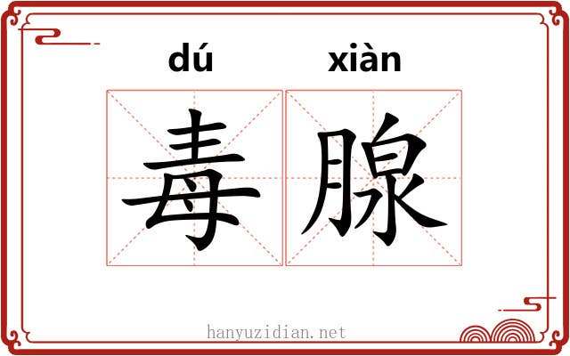 毒腺