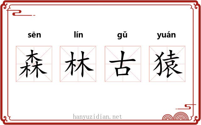 森林古猿 森林古猿