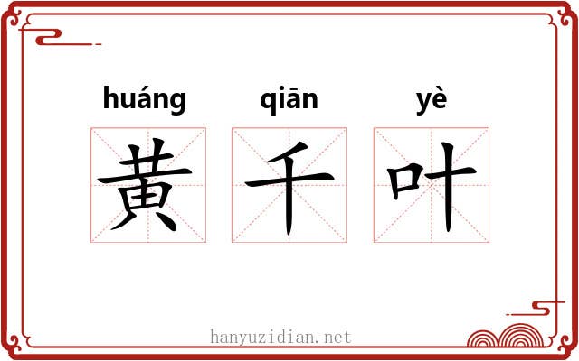 黄千叶 黄千叶