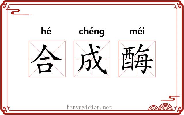 合成酶 合成酶