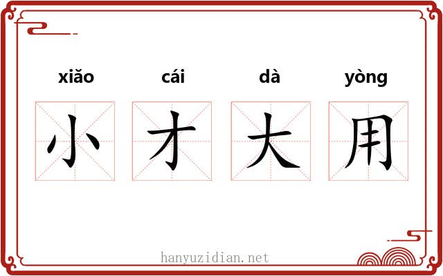 小才大用