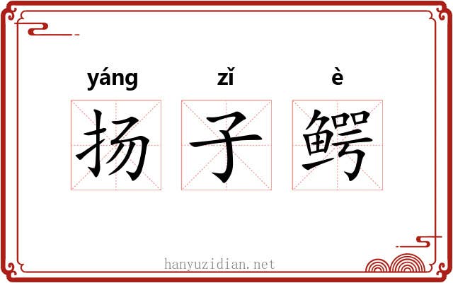 扬子鳄 扬子鳄