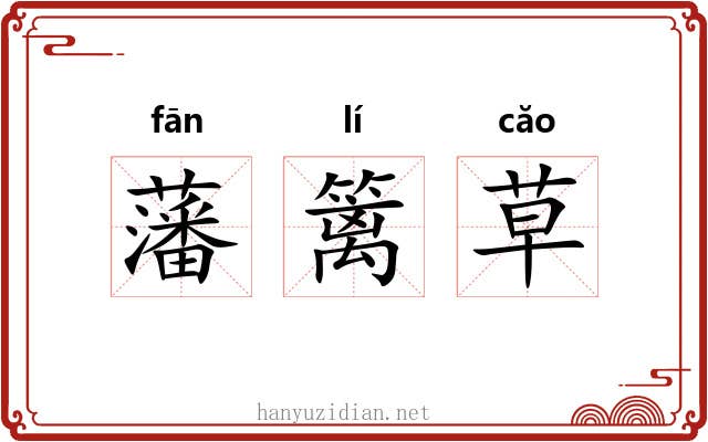藩篱草 藩篱草