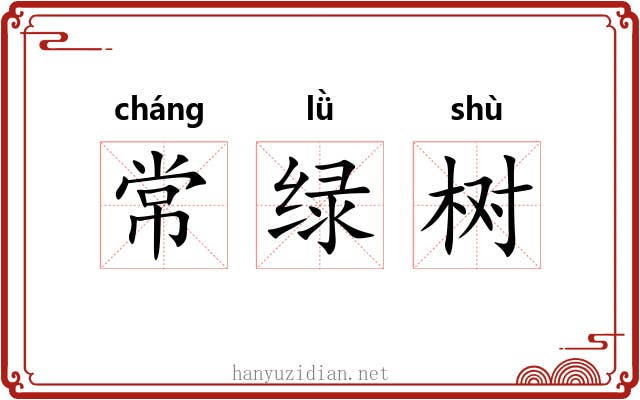 常绿树 常绿树