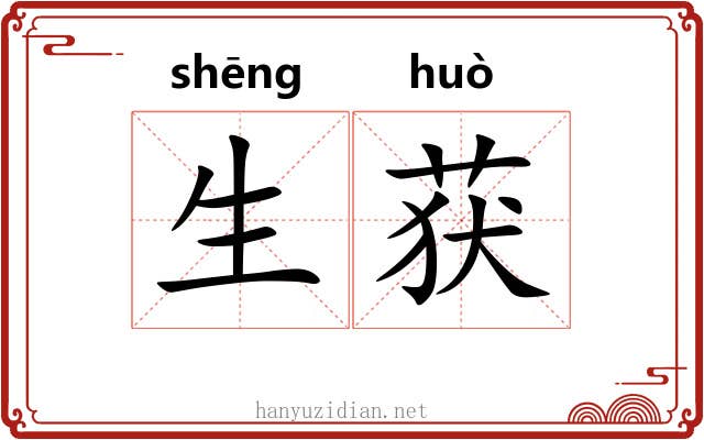 生获