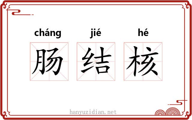 肠结核 肠结核