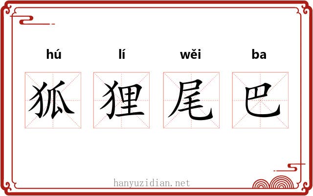 狐狸尾巴 狐狸尾巴