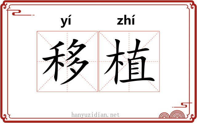 移植 移植