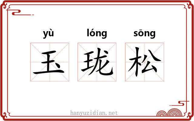 玉珑松 玉珑松