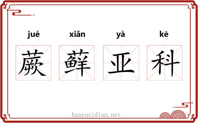 蕨藓亚科