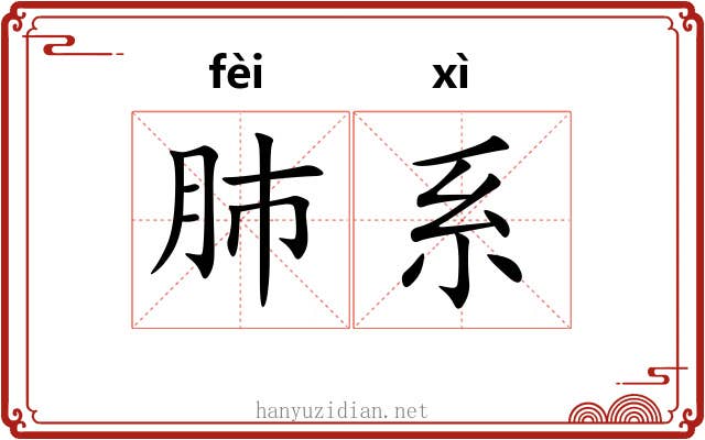 肺系