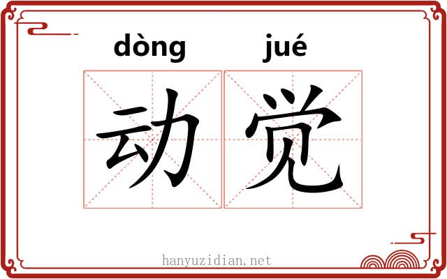 动觉 动觉