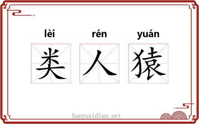类人猿