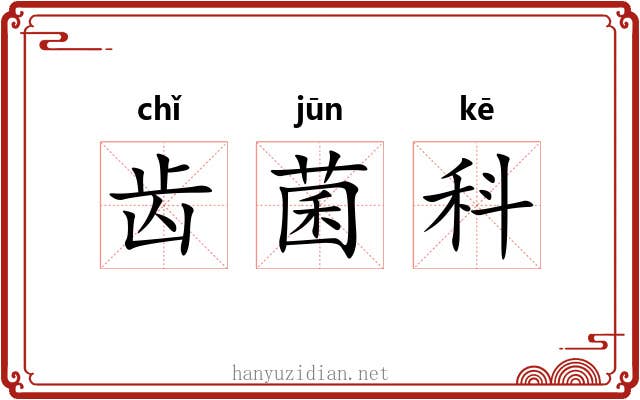 齿菌科 齿菌科