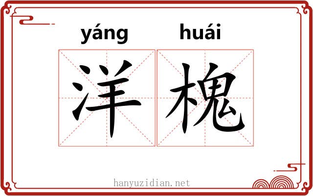 洋槐 洋槐