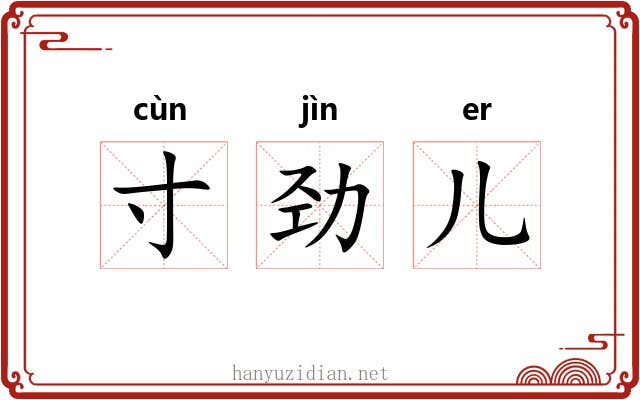 寸劲儿