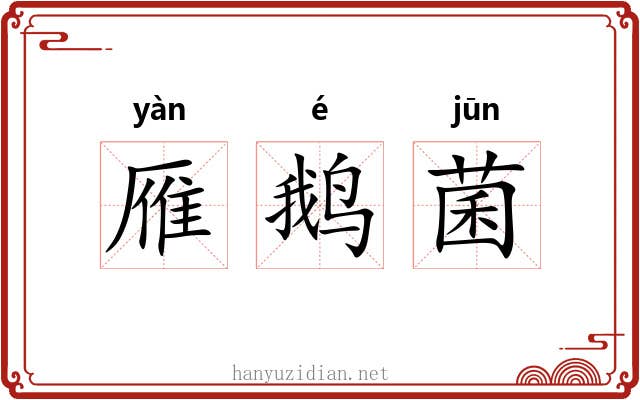 雁鹅菌 雁鹅菌