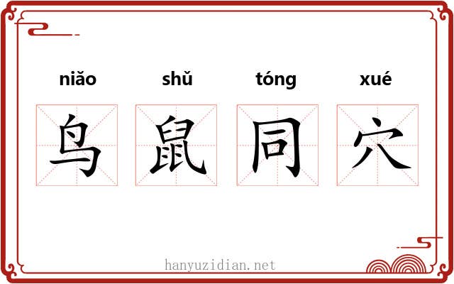 鸟鼠同穴 鸟鼠同穴