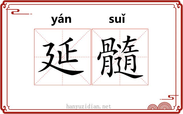 延髓 延髓