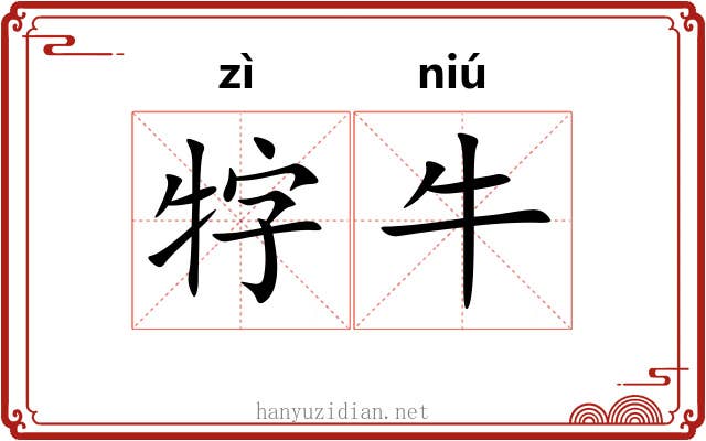 牸牛