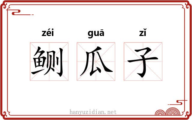 鲗瓜子 鲗瓜子