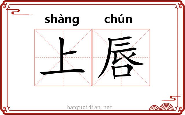 上唇 上唇